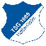 TSG Hoffenheim Logo